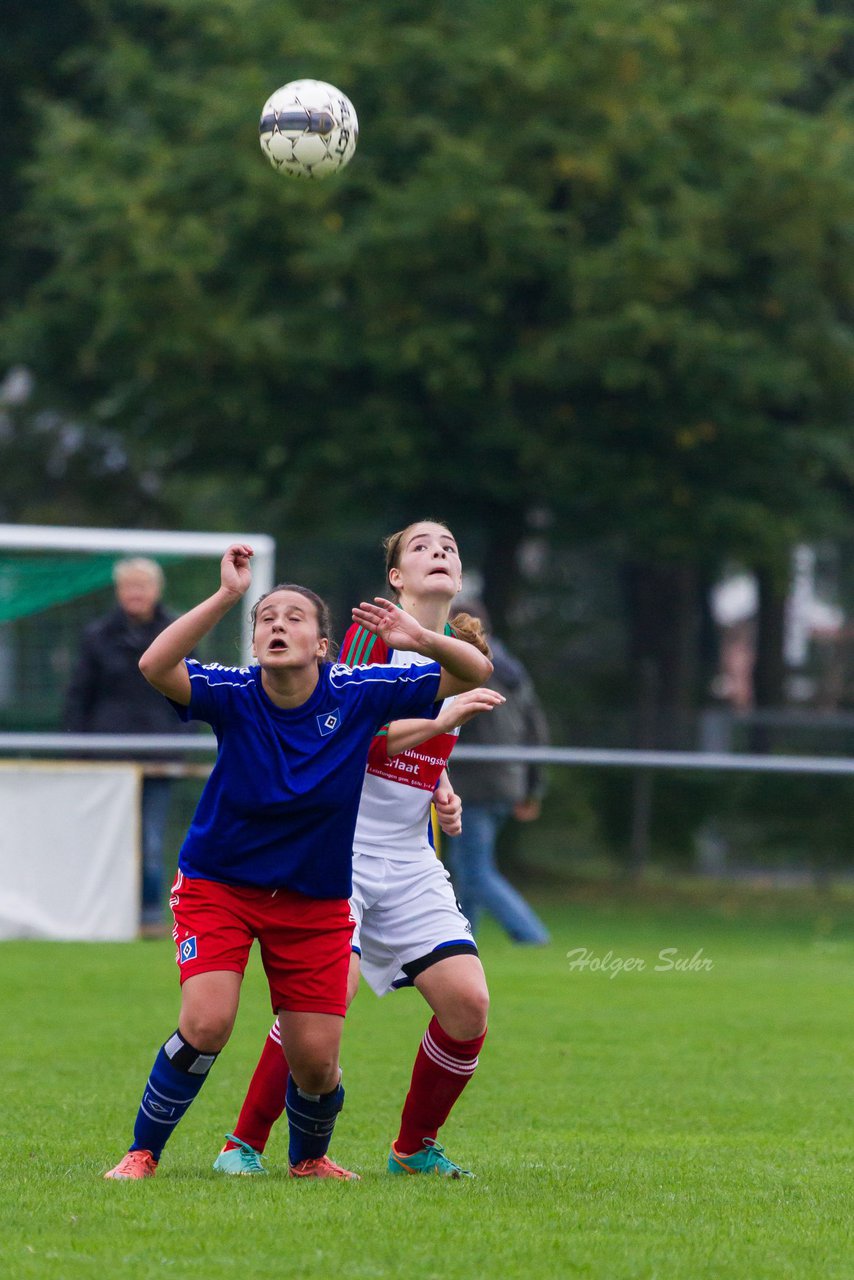 Bild 267 - Frauen SV Henstedt Ulzburg - Hamburger SV : Ergebnis: 2:2